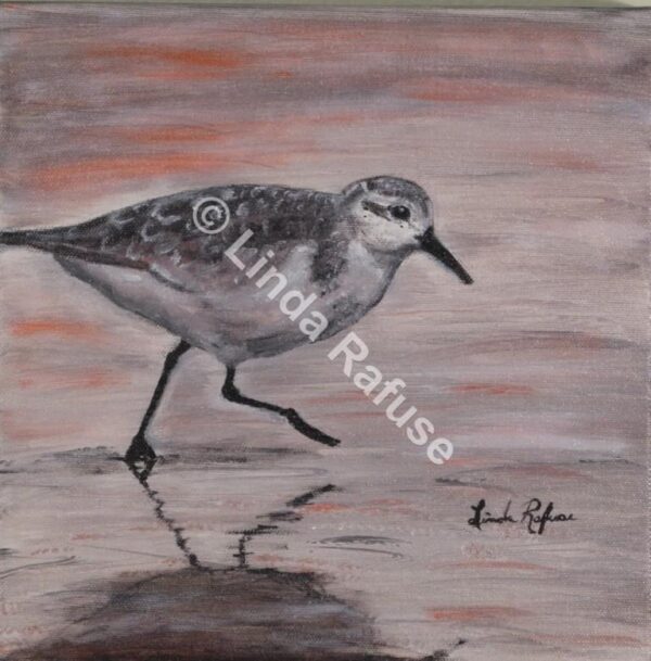 Sandpiper